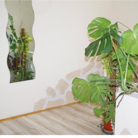 L'Appartement 90M2 Climatise Авиньон Екстериор снимка