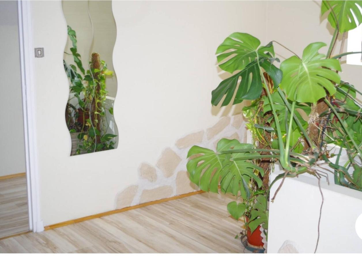 L'Appartement 90M2 Climatise Авиньон Екстериор снимка